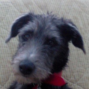 Meet your Posher, Sharon